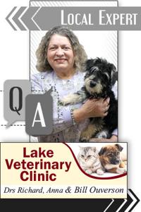 Veterinary Medicine